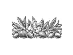 chestnuts  steven noble